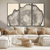 98921313-MGV-CV-36X24-Tree Ring Wall Art Canvas Print, Framed Wood Slice Art Picture Print, Minimalist Wood Perfect Rustic Academic Decor Artwork