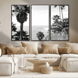 89458520-MGV-CV-36X24-Palm Trees Wall Art Canvas Print, Framed Coastal View Art Picture Print, Ocean Horizon Perfect Monochrome Coast Decor Artwork