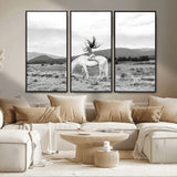 62789800-MGV-CV-36X24-White Horse Wall Art Canvas Print, Framed Woman Rider Art Picture Print, Equestrian Pose Perfect Western Boho Decor Artwork