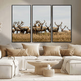 42170220-MGV-FC-48X32-3P_Black-Elk Herd Wall Art Canvas Print, Framed Wildlife Photography Art Picture Print, Majestic Antlers Perfect Rustic Wildlife Decor