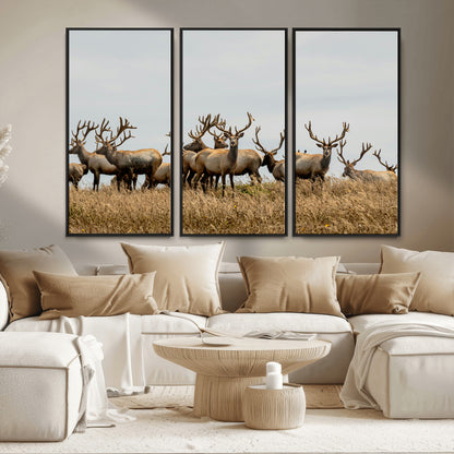 42170220-MGV-FC-48X32-3P_Black-Elk Herd Wall Art Canvas Print, Framed Wildlife Photography Art Picture Print, Majestic Antlers Perfect Rustic Wildlife Decor