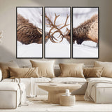 99240306-MGV-FC-48X32-3P_Black-Elk Wall Art – Two Bull Elk Fighting in Snow Canvas Print, Rustic Wildlife Artwork for Cabin, Lodge, Western Farmhouse, Nature &