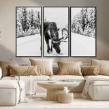 38956835-MGV-CV-36X24-Moose Winter Snowy Forest Canvas Wall Art – Wildlife Nature, Antlers in Frozen Landscape, Quiet Path, Cold Season Outdoors Print