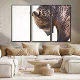 14405507-MGV-CV-36X24-Bear Wall Art – Wildlife Canvas Print with Rustic Animal Portrait and Minimalist Background, Nature Inspired Photography for