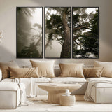 87969493-MGV-CV-36X24-Forest Wall Art – Misty Tall Trees Canvas Print, Dramatic Woodland Photography Decor for Bedroom, Living Room, Office, Cabin,