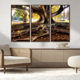 53335-MGV-FC-48X32-3P_Walnut-Majestic Tree with Sprawling Roots Wall Art – Serene Sunlit Park Scene, Nature Canvas Print, Perfect for Living Room, Office or