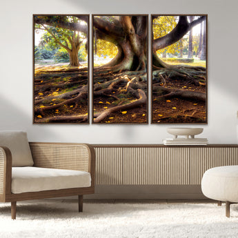 53335-MGV-FC-48X32-3P_Walnut-Majestic Tree with Sprawling Roots Wall Art – Serene Sunlit Park Scene, Nature Canvas Print, Perfect for Living Room, Office or