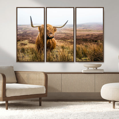 79391-MGV-FC-48X32-3P_Walnut-Majestic Highland Cow in Misty Scottish Moorland – Rustic Natural Charm, Perfect for Unique Home or Office Decor