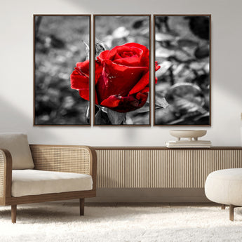 84671-MGV-FC-48X32-3P_Walnut-Red Rose Wall Art – Vibrant Single Bloom Canvas Print with Black and White Background, Elegant Floral Decor for Living Room,