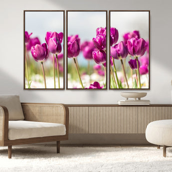 30632-MGV-FC-48X32-3P_Walnut-Purple Tulip Field Wall Art – Beautiful Spring Flowers Canvas Print with Soft Focus and Bright Sky, Ideal Floral Decor for Home or