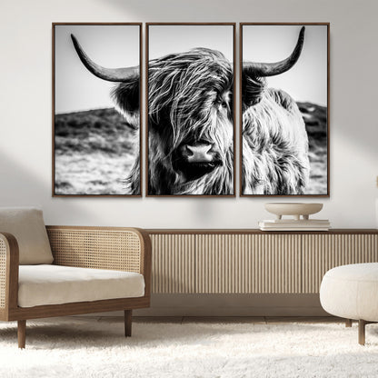 36979-MGV-FC-48X32-3P_Walnut-Striking black-and-white portrait of a Highland cow with flowing fur and majestic horns, perfect for rustic and elegant home or