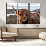 71222-MGV-CV-36X24-A playful Highland cow with shaggy fur sticks out its tongue, set against a rugged landscape — perfect for quirky home or office