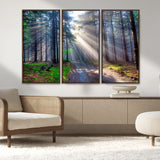 42047-MGV-FC-48X32-3P_Walnut-Sunlit Forest Path Wall Art – Nature Canvas Print, Serene Woodland Landscape, Perfect Home & Office Decor for Calm and Tranquil