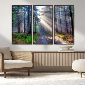 42047-MGV-FC-48X32-3P_Walnut-Sunlit Forest Path Wall Art – Nature Canvas Print, Serene Woodland Landscape, Perfect Home & Office Decor for Calm and Tranquil
