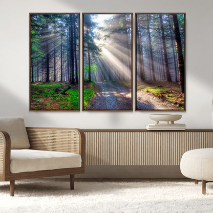 42047-MGV-FC-48X32-3P_Walnut-Sunlit Forest Path Wall Art – Nature Canvas Print, Serene Woodland Landscape, Perfect Home & Office Decor for Calm and Tranquil