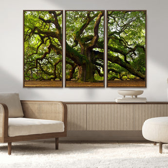 29407-MGV-CV-36X24-Ancient Oak Tree Wall Art – Majestic Nature Canvas Print, Large Tree Photography Decor for Living Room or Office