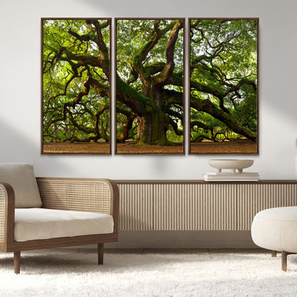 29407-MGV-CV-36X24-Ancient Oak Tree Wall Art – Majestic Nature Canvas Print, Large Tree Photography Decor for Living Room