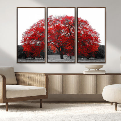 80021-MGV-CV-36X24-Red Tree Wall Art – Striking Black and White Landscape Canvas Print with Vibrant Red Leaves, Modern Nature Decor for Living Room