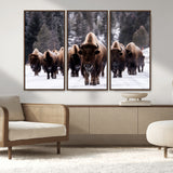 66871-MGV-CV-36X24-Bison Herd Wall Art – Wildlife Buffalo Canvas Print, Rustic Western Nature Photography Decor for Living Room, Office, Cabin, or