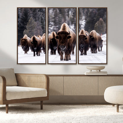 66871-MGV-CV-36X24-Bison Herd Wall Art – Wildlife Buffalo Canvas Print, Rustic Western Nature Photography Decor for Living Room, Office, Cabin, or