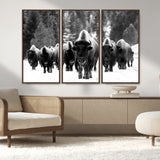 62434-MGV-FC-48X32-3P_Walnut-Bison Herd Wall Art – Majestic Black and White Buffalo Canvas Print, Wildlife Nature Photography Decor for Living Room, Office or
