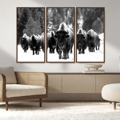 62434-MGV-FC-48X32-3P_Walnut-Bison Herd Wall Art – Majestic Black and White Buffalo Canvas Print, Wildlife Nature Photography Decor for Living Room, Office or