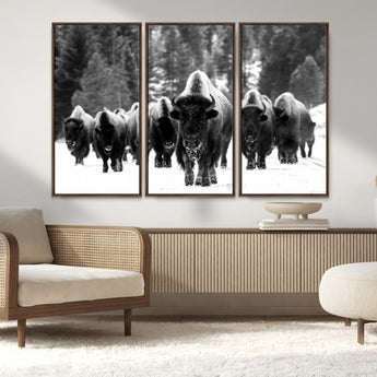 62434-MGV-CV-36X24-Bison Herd Wall Art – Majestic Black and White Buffalo Canvas Print, Wildlife Nature Photography Decor for Living Room, Office or
