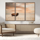 99699-MGV-CV-36X24-Bison in Prairie at Sunset – Wildlife Photography Print, American Buffalo Wall Art, Nature Landscape Canvas Decor for Office