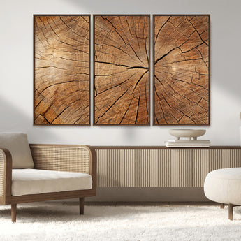 61710-MGV-CV-36X24-Tree Rings Wall Art – Rustic Wood Grain Canvas Print of Tree Trunk Cross Section, Nature Inspired Decor for Cabin, Office, Living