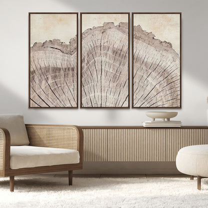 67528-MGV-FC-48X32-3P_Walnut-Wood Ring Wall Art Canvas Print, Framed Tree Ring Art Picture Print, Rustic Tree Ring Perfect Neutral Boho Decor Artwork