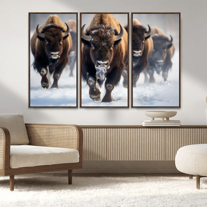 80512-MGV-CV-36X24-Bison Herd Wall Art – Buffalo Running in Snow Canvas Print, Rustic Wildlife Photography Decor for Cabin, Lodge, or Living Room