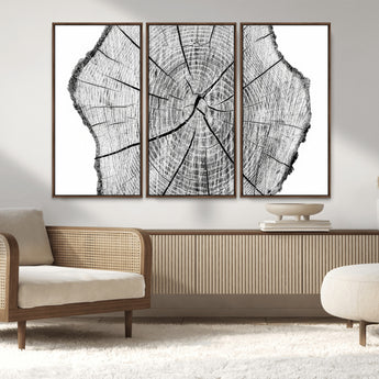 98709-MGV-CV-36X24-Tree Ring Wall Art – Black and White Canvas Print Rustic Wood Cross Section, Minimal Nature Inspired Decor for Living Room,