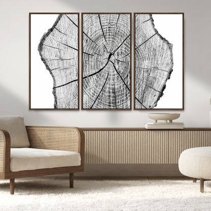 98709-MGV-CV-36X24-Tree Ring Wall Art – Black and White Canvas Print Rustic Wood Cross Section, Minimal Nature Inspired Decor for Living Room,