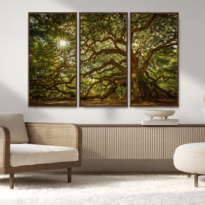 57983-MGV-CV-36X24-Angel Oak Tree Wall Art Canvas Print, Framed Oak Tree Art Picture Print, Angel Oak Perfect Rustic Nature Decor Artwork