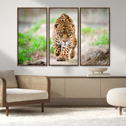 75066-MGV-FC-48X32-3P_Walnut-Leopard Wall Art Canvas Print, Framed Wild Animal Art Picture Print, Blue Eye Leopard Perfect Wild Minimal Decor Artwork