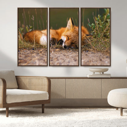 25085-MGV-FC-48X32-3P_Walnut-Sleeping Fox Wall Art Canvas Print, Framed Rustic Fox Art Picture Print, Wildlife Animal Perfect Rustic Farmhouse Decor Artwork