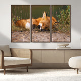 25085-MGV-CV-36X24-Sleeping Fox Wall Art Canvas Print, Framed Rustic Fox Art Picture Print, Wildlife Animal Perfect Rustic Farmhouse Decor Artwork