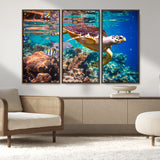 66614-MGV-FC-48X32-3P_Walnut-Sea Turtle Wall Art – Hawksbill Turtle Swimming Over Coral Reef Canvas Print, Ocean Marine Life Decor for Beach House, Coastal