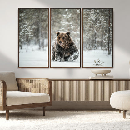 43350-MGV-FC-48X32-3P_Walnut-Wild Bear in Snow Wall Art – Majestic Wildlife Photography Print, Winter Forest Nature Decor for Cabin, Lodge, Rustic Home,