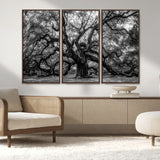 132944706-MGV-FC-48X32-3P_Walnut-Ancient Tree Wall Art – Black and White Photography Canvas Print Featuring Majestic Twisting Branches, Rustic Nature Artwork for