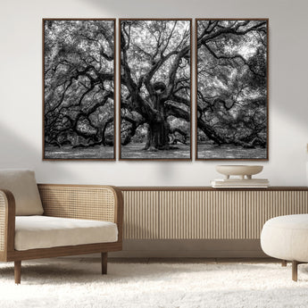 132944706-MGV-FC-48X32-3P_Walnut-Ancient Tree Wall Art – Black and White Photography Canvas Print Featuring Majestic Twisting Branches, Rustic Nature Artwork for