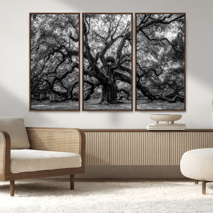 132944706-MGV-FC-48X32-3P_Walnut-Ancient Tree Wall Art – Black and White Photography Canvas Print Featuring Majestic Twisting Branches, Rustic Nature Artwork for