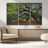 MGV-FC-48X32-3P - Historic Tree Wall Art Canvas Print, Framed Mossy Tree Art Picture Print, Twisted Branches Perfect Nature Southern Decor Artwork