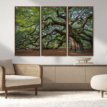 MGV-FC-48X32-3P - Historic Tree Wall Art Canvas Print, Framed Mossy Tree Art Picture Print, Twisted Branches Perfect Nature Southern Decor Artwork