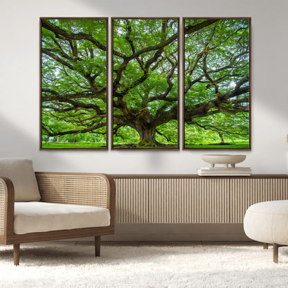 49375306-MGV-FC-48X32-3P_Walnut-Ancient Tree Wall Art Canvas Print, Framed Sprawling Branches Art Picture Print, Gnarling Tree Perfect Earthy Natural Decor
