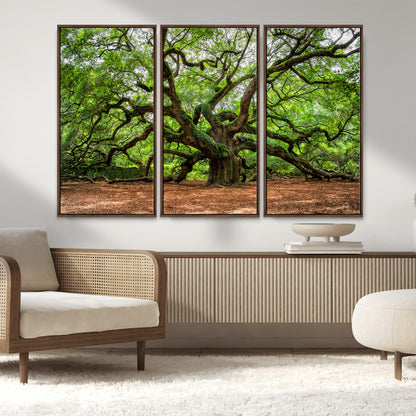 51255351-MGV-FC-48X32-3P_Walnut-Ancient Tree Wall Art – Majestic Oak Canvas Print, Large Nature Photography, Sacred Forest Landscape Wall Décor, Wisdom Tree