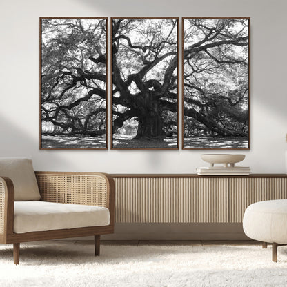 81655611-MGV-CV-36X24-Ancient Oak Wall Art Canvas Print, Framed Twisted Branches Art Picture Print, Gnarled Tree Perfect Moody Nature Decor Artwork