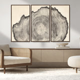 98921313-MGV-CV-36X24-Tree Ring Wall Art Canvas Print, Framed Wood Slice Art Picture Print, Minimalist Wood Perfect Rustic Academic Decor Artwork