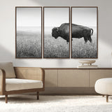 28435251-MGV-CV-36X24-Bison In Prairie Wall Art Canvas Print, Framed Rustic Wildlife Art Picture Print, Wild Buffalo Perfect Rustic Western Decor