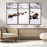 13891210-MGV-CV-36X24-Bison Herd Scene Wall Art Canvas Print, Framed Western Wildlife Decor Art Picture Print, Snowy Mountain Valley Perfect Rustic